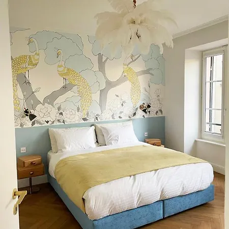 Luxueux Hyper Centre De Страсбург